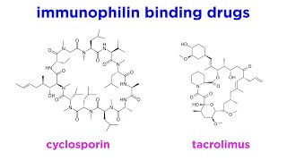 Immunomodulators Part 1 Immunosuppressants [upl. by Leatri374]