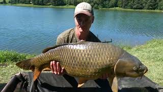 Carp Fishing Dubinné 13 august 2023 Carp Monster Dubinský kapor Prologic Fishing [upl. by Eidod]