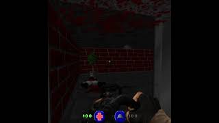 Oneshoting enemies with rifles  Brutal Wolfenstein 3d mod for Brutal Doom shorts [upl. by Cora]