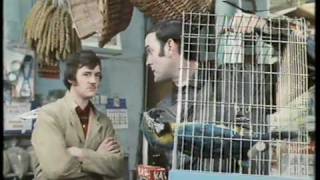 Monty Python The Parrot Sketch amp The Lumberjack Song movie versions HQ [upl. by Den]