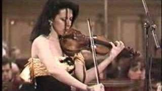 Beethoven violin concerto  2nd movement [upl. by Ana128]