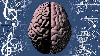 Left Brain vs Right Brain [upl. by Snyder]