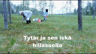 TytaÌˆr ja sen iskaÌˆ hillasuolla [upl. by Obadias140]