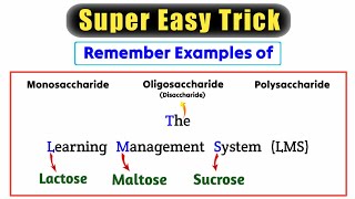 Trick to Remember Examples of Monosaccharides Disaccharides and Polysaccharides [upl. by Ahcsropal]