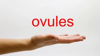 How to Pronounce ovules  American English [upl. by Dinnie]