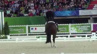 wwwarenagripde WEG 2014 Charlotte Dujardin GBR Grand Prix 85271 [upl. by Florina]