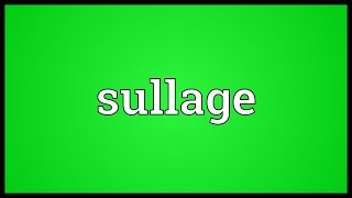 Sullage Meaning [upl. by Yekram]