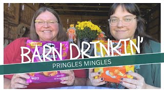 Pringles Mingles Cheddar amp Sour Cream And BBQ amp Pizza Flavors Taste Test  Review [upl. by Lertram]