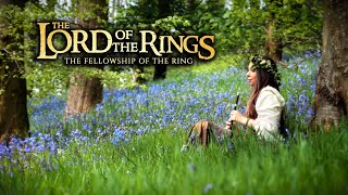 The Lord Of The Rings  Concerning Hobbits Shire theme beautiful middle earth music [upl. by Anrak812]