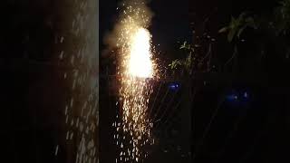 Diwali Fire Crackersshorts short fireworks diwali funnyviralshort [upl. by Gnud]