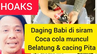 HOAKS‼️DAGING BABI  COCACOLA  CACING PITA [upl. by Pry]