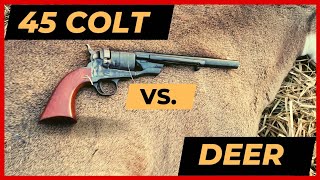 Old West Revolver vs Deer [upl. by Choo995]