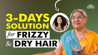 Dry hair treatment amp solution  Frizzy hair solution  Dry hair home remedies  Dry hair causes [upl. by Elimaj]