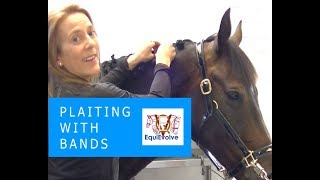 How To Plait A Horses Mane With Bands [upl. by Phebe]