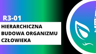 R301 Hierarchiczna budowa organizmu człowieka [upl. by Kobe]