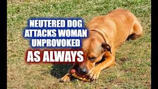 Neutered Dog Attacks Woman Unprovoked As Always [upl. by Zsa]