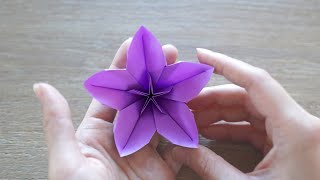 Easy Origami Flower  Cherry Blossom [upl. by Stclair577]