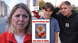 KÖPEĞİMİZ KAYBOLDU  Bulana 100000 TL Ödül  Dolandırıldık [upl. by Steere]