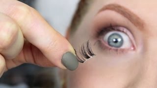 False Lashes  UNDER the Lash Line [upl. by Knowling]