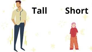 Tall and Short  Concept Tall and Short  Learn the Tall and Short objects  YouTubekids [upl. by Levenson]