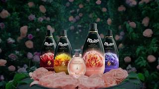 Kisah Keharuman Molto Luxury Rose Tercipta [upl. by Aisetra]