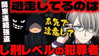 【関東連続強盗】千葉でも？ﾀﾋ刑クラスの犯罪者が逃走しながら連続強盗を…官房副長官が言及する異例の事態をかなえ先生が解説【Vtuber切り抜き】 [upl. by Mellman121]