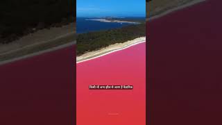 Australias pink Lake Hillier short [upl. by Eesdnil]