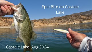 Fishing Castaic August 2024 [upl. by Dnaltruoc]