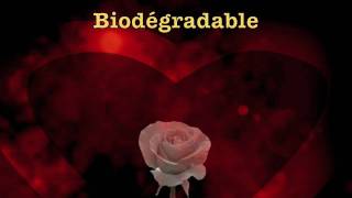 Biodegradable by Ginette Reno [upl. by Nednerb]