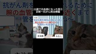 22歳で白血病になった話⑤ 自己啓発 闘病 辛い 白血病 猫ミーム [upl. by Schoenberg]