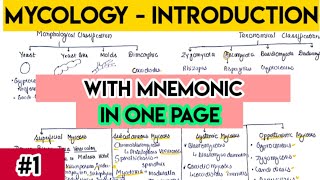 Mycology introduction  Fungi introduction with trick  fungi classification [upl. by Akiemat]