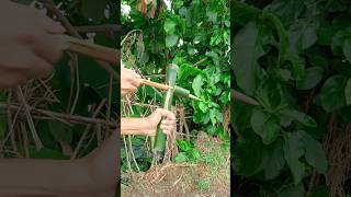 Bamboo creation with new Arrow world technology Technology Diy Bamboo [upl. by Eardnoed157]