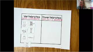 Vertebrates and Invertebrates Sort [upl. by Artamas]