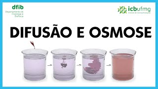 Vídeo curto  Difusão e Osmose [upl. by Rosati201]