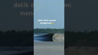 Detik detik tsunami menggulung dengan keras [upl. by Malliw887]