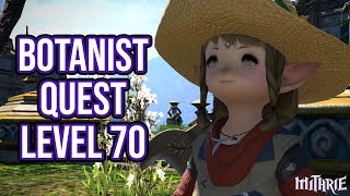 FFXIV 458 1319 Botanist Quest Level 70 [upl. by Ivan]