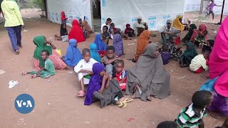 Une vague de réfugiés climatiques somaliens fait son entrée au Kenya [upl. by Aerdnaek946]