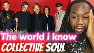 COLLECTIVE SOUL  The world i know acoustic liveREACTION  A fantastic performance  first hearing [upl. by Necyla]