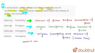 Seed Germination Types  Class 6  CBSE  NCERT  ICSE [upl. by Ynove]