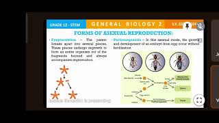 GEN BIO 2  REPRODUCTION [upl. by Mackey]