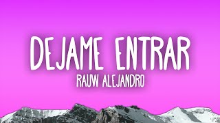 Rauw Alejandro  Dejame Entrar [upl. by Eimmit757]