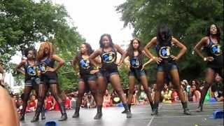 Sigma Gamma Rho Atlanta Greek Picnic 2012 [upl. by Meingolda515]