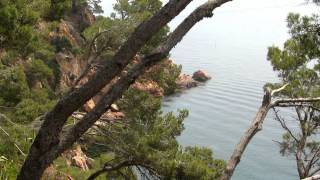 Jardines de Cap Roig Calella de Palafrugell [upl. by Sharline]