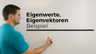 Eigenwerte Eigenvektoren anschaulich am Beispiel Punkt abbilden Abbildung Mathe by Daniel Jung [upl. by Immanuel]