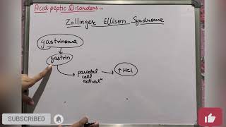 Zollinger Ellison syndrome  Acid Peptic Disorders  Kayachikitsa  Geetaru Shanjalii  Ayurveda [upl. by Noreik]