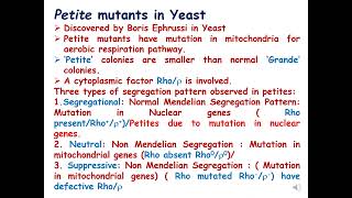 Petite Mutants Extranuclear Inheritance Genetics ConceptsofgeneticsBiology [upl. by Lanaj]