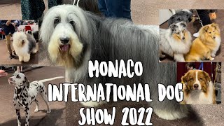 Monaco International Dog Show 2022 Exposition Canine Internationale de Monaco 4KHD [upl. by Iht]