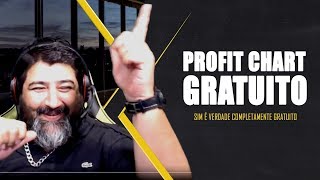 Profit Chart GRATUITO MENDIGO TRADER [upl. by Neenad543]