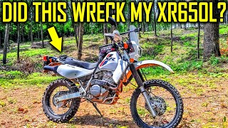 Putting My LOWERED XR650L to the Ultimate Off Road Test  DR650 Comparisons [upl. by Etem]