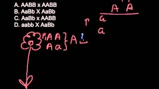 Which of the following is the testcross How to find if the plant is homozygous or heterozygous [upl. by Joann]